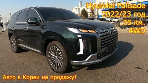 Палисад 2022