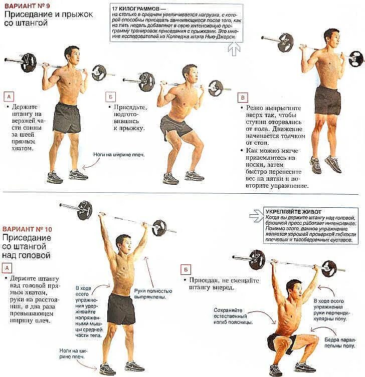 Программа штанга гантели. План тренировок на силу с штангой. Программа тренировок для штанги с 0. Присед со штангой техника схема. Комплексы упражнений со штангой таблица.