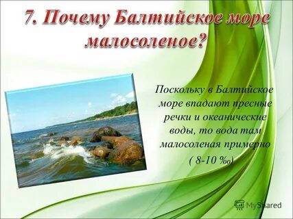 Характеристика балтийского