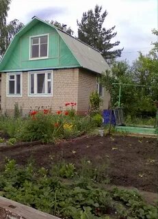 Дача нефтяник