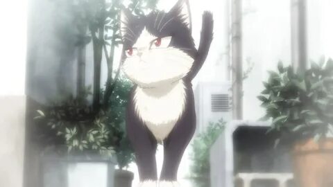 Doukyonin wa hiza tokidoki atama no ue