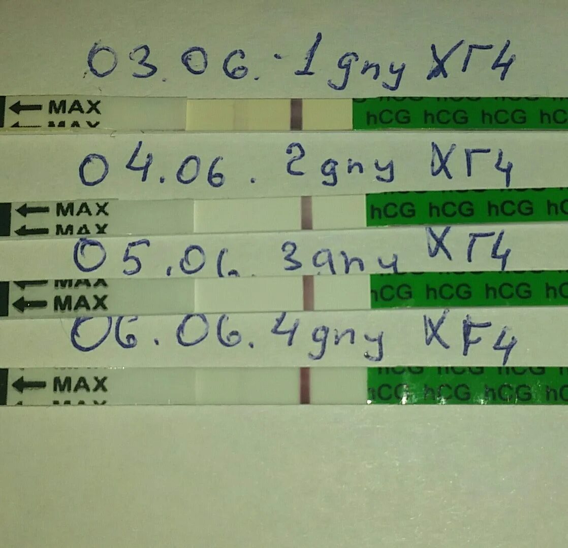 Беременность после укола хгч. Хвост от укола ХГЧ 2000. Тест после укола ХГЧ 1500. Хвост от укола ХГЧ 1500. ХГЧ 1500 через 48 часов тест.