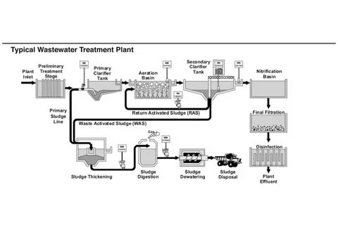 Plants control