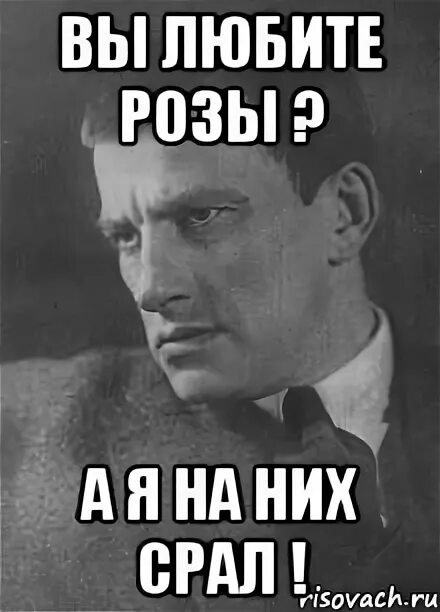 Стране нужны розы а я на них. Вы любите розы. Маяковский вы любите розы. Маяковский вы любите розы стих. Вы любите розы а я на них.