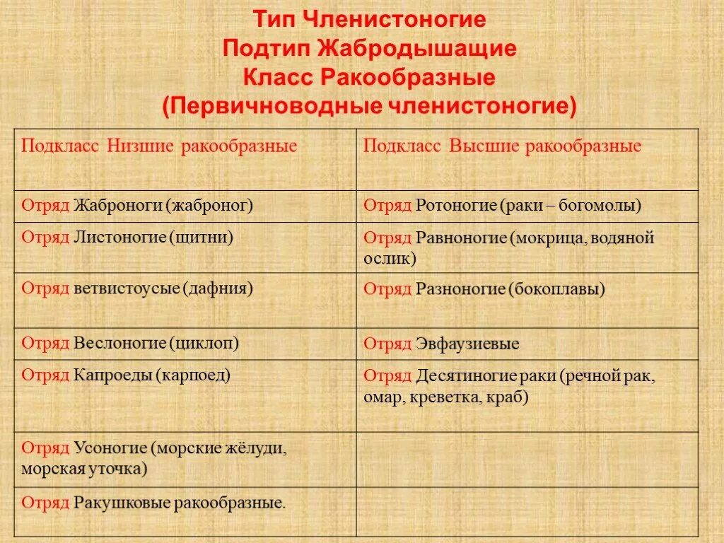 Классификация типа членистоногие. Высшие и низшие ракообразные. Класс ракообразные общая характеристика. Тип Членистоногие подтипы. Характеристика высших ракообразных.