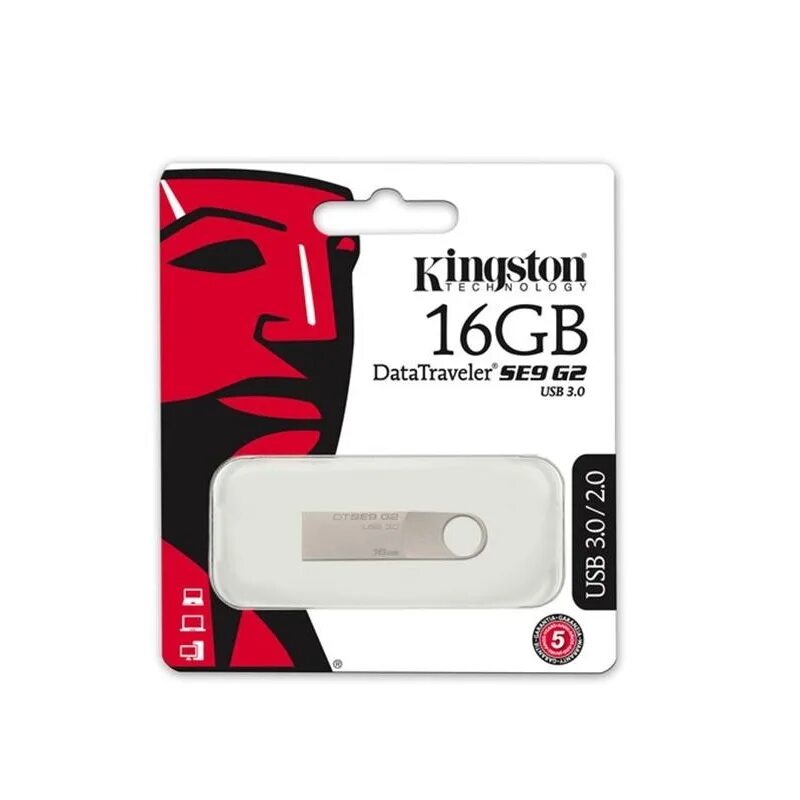 Флешка kingston 128. Флешка Kingston 8gb dtse9. Флешка Kingston DATATRAVELER g4 128gb. Флешка 32 ГБ Kingston. Флешка Kingston DATATRAVELER se3 32gb.