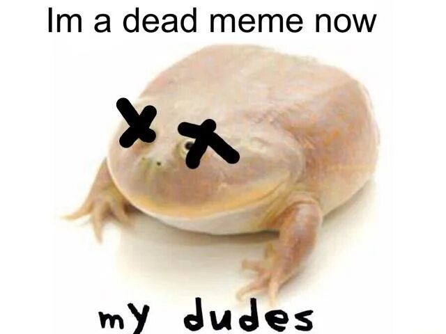 Dead memes. Wednesday Мем. It's Wednesday my dudes Мем. Wednesday Frog Мем. Dead meme