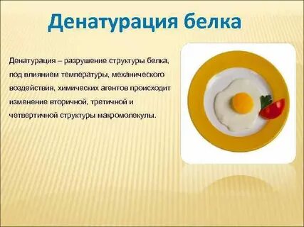 При разрушении структуры денатурация необратима