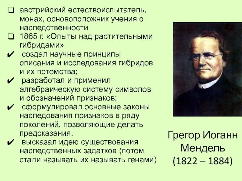 Грегор Мендель основоположник генетики. Грегор Иоганн Мендель (1822-1884 гг.). История развития генетики Грегор Мендель. Мендель основоположник генетики кратко. Учение о наследственных