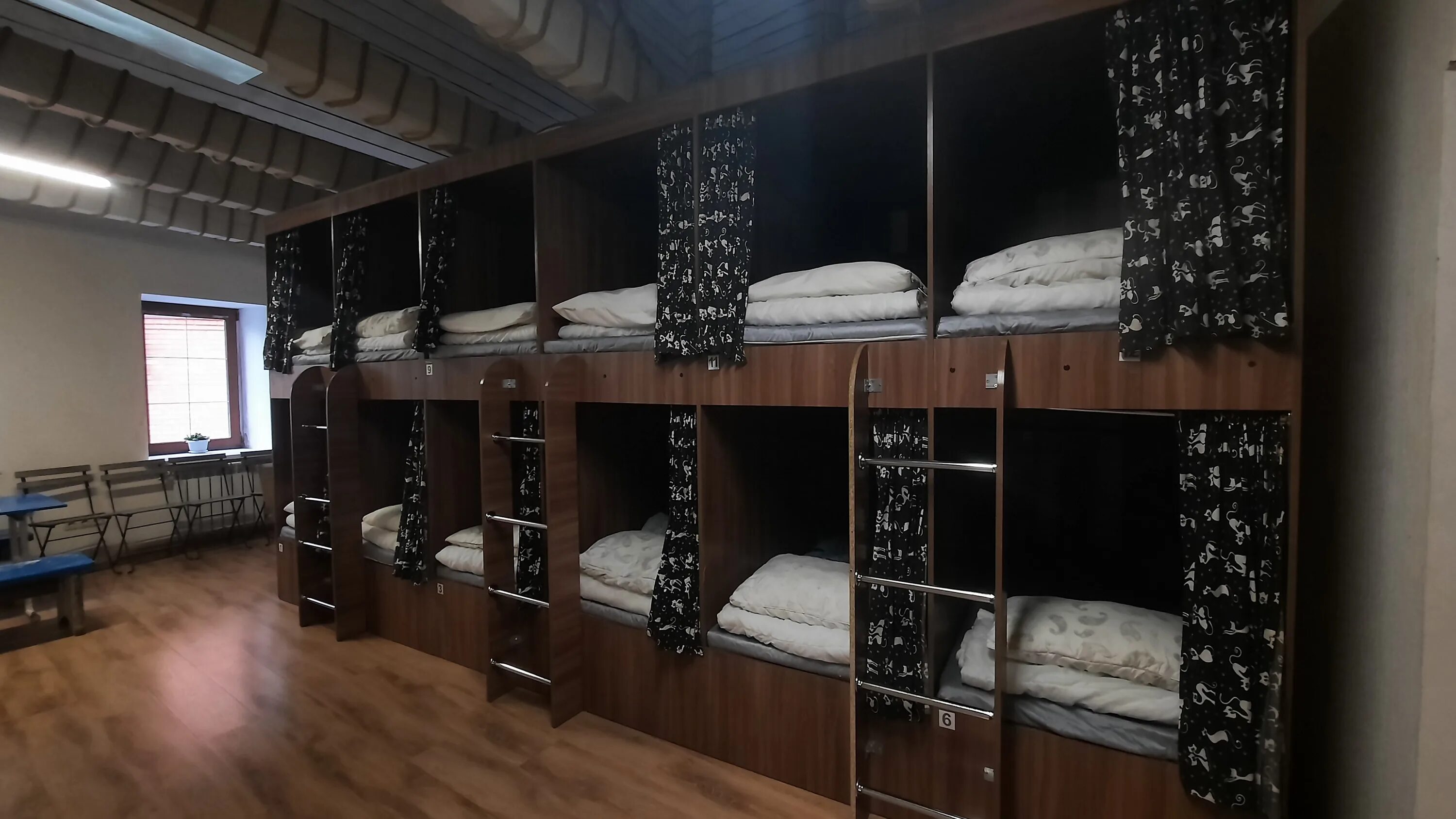 Хостел кот на крыше казань. Гостиница кот на крыше казань. Общежитие для котов. Хостел кот. Хостел дом вказань кот на крыши.