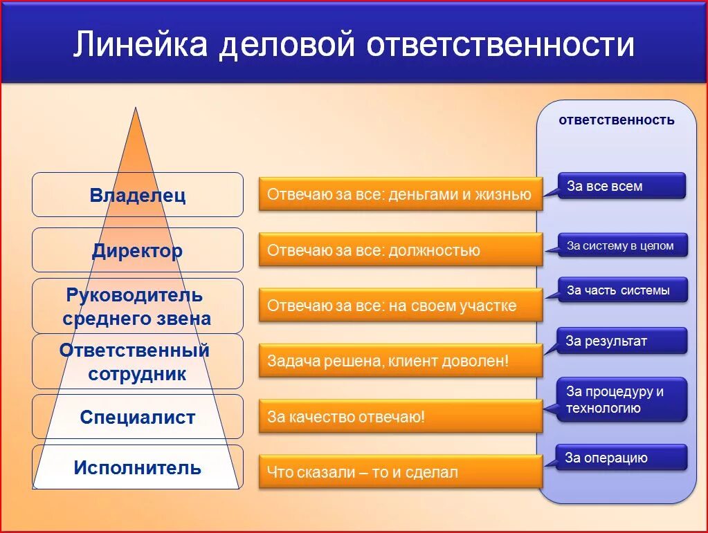 Ответственность проектных организаций. Линейка деловой ответственности. Ответственность руководителя. Зоны ответственности в бизнесе. Обязанности руководителя среднего звена.