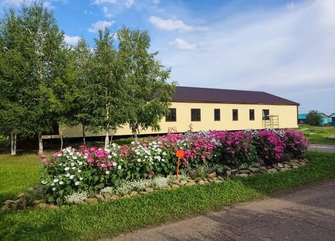 целинные земли интернат