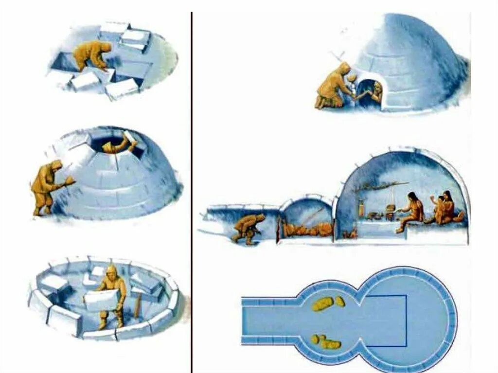 Температура в иглу. Иглу жилище эскимосов. Иглу домик эскимоса. Иглу жилище эскимосов изнутри. Разрез игла снежного жилища эскимоса.