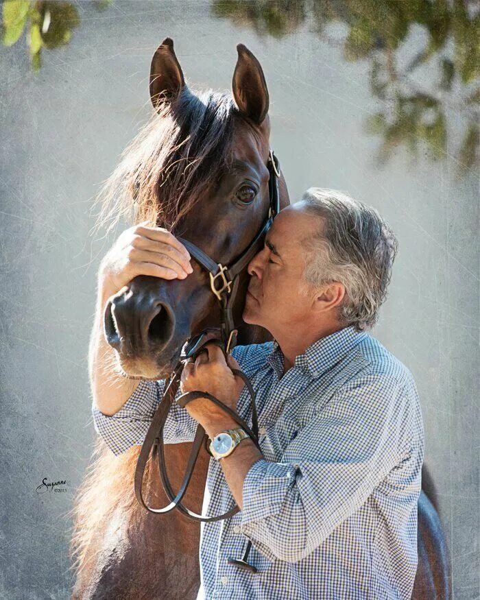 Человек с лицом лошади фото. Человек на лошади. Человек на лошади. Human horse. Человек на лошади.