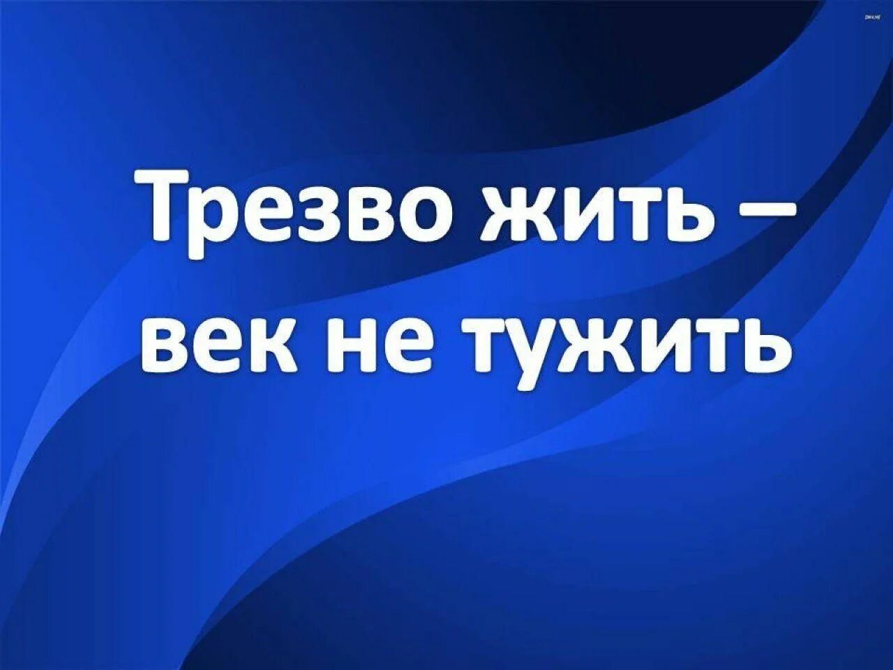 Трезво жить век не тужить. Трезво жить век не тужить буклеты. Трезво жить век не тужить картинки. Листовка трезво жить -век не тужить.