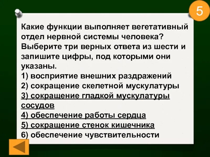 Укажите одну из функций которую выполняет