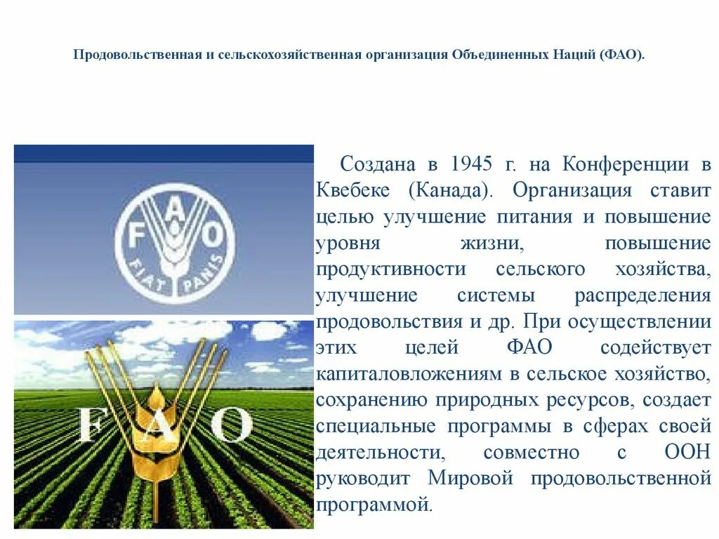 Продовольственная оон. Продовольственная и сельскохозяйственная организация ООН (FAO). Продовольственная и сельскохозяйственная организация ООН ФАО задачи. Всемирная организация продовольствия (ФАО). ФАО презентация.