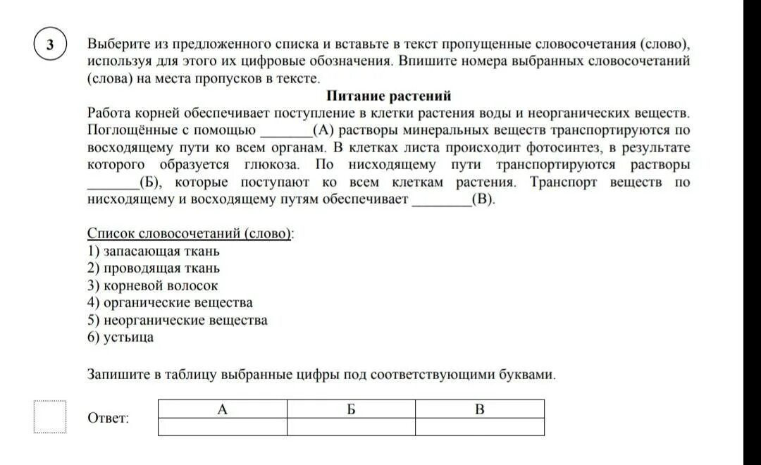 Из предложенного списка выберите такое растение