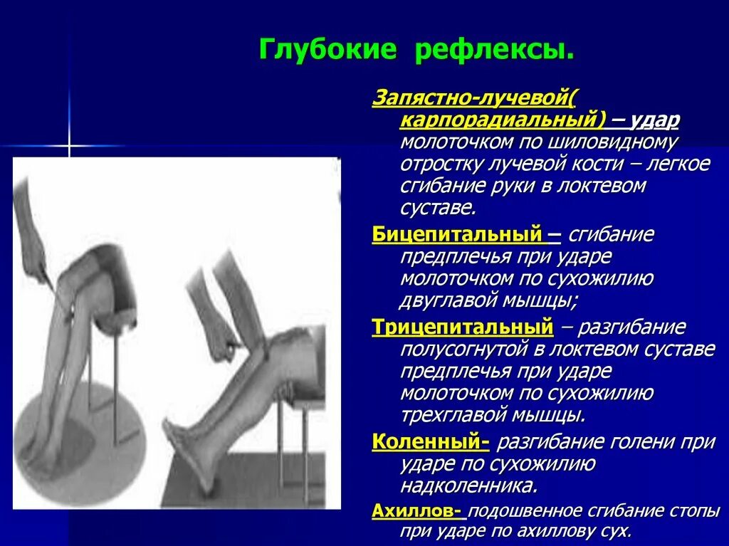 Рефлекс балл. Глубокие сухожильные рефлексы неврология. Повышение сухожильных и периостальных рефлексов. Сухожильные рефлексы нижних конечностей неврология. Поверхностные и глубокие рефлексы неврология.