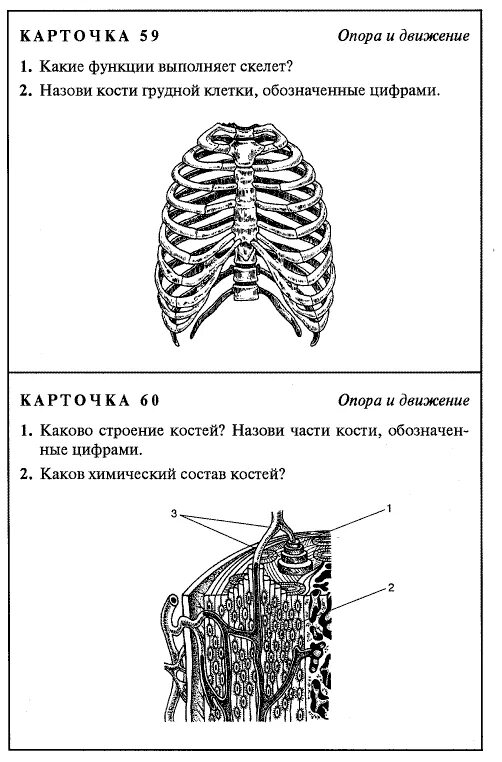 Карточки биология 8 класс. Карточки задания по учебнику биологии 8 класс Сонин. Задания карточки по анатомии человека. Дидактические карточки по биологии. Задания по биологии человек.