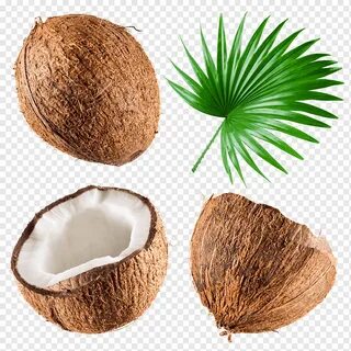 Coconut milk Coconut water graphy, Coconut nuts, leaf, nuts, arecaceae png.
