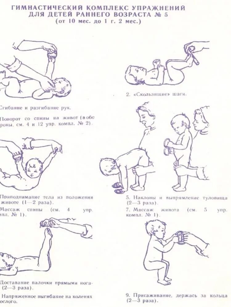 Гимнастика спины ребенку. Гимнастика для грудничков от 1 до 6 месяцев. Комплекс упражнений для детей от 1 года до 1.5 лет. Массаж гимнастика детей до 1 года. Гимнастический комплекс упражнений для детей раннего возраста 2.
