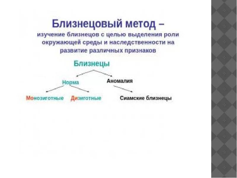 Близнецовый метод генетики. Близнецовый метод генетики