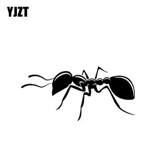 Ant m