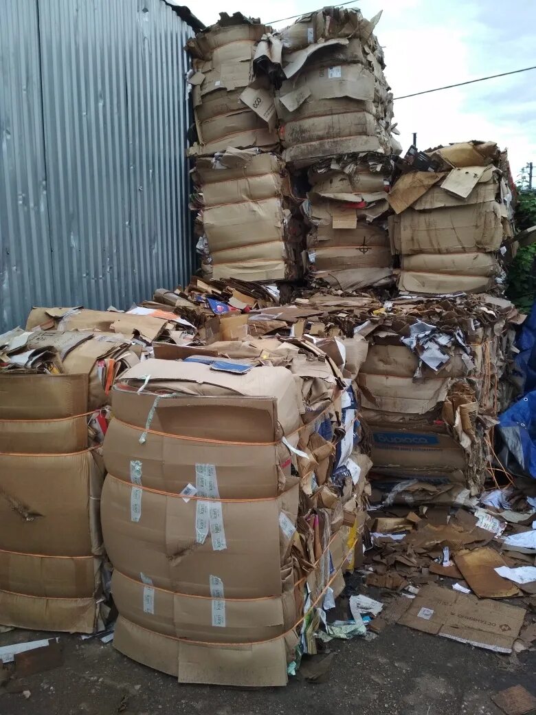 Пэт макулатура. Макулатура. Макулатура приём макулатуры. Макулатура визитка. Прием макулатуры.