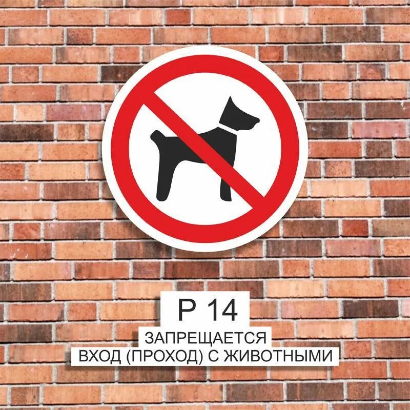 Можно с собаками в продуктовый магазин. Вход в магазин с животными запрещен. С собаками в магазин вход запрещен. Магазин собака запрещен. С животными в магазин нельзя.