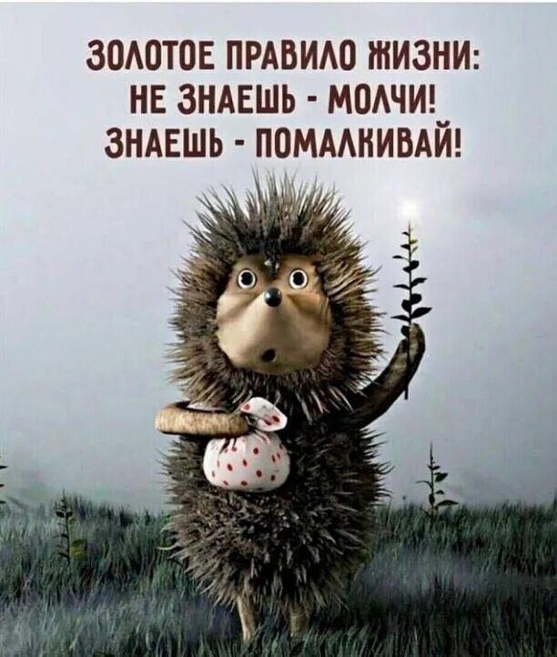 А где он живет знаешь