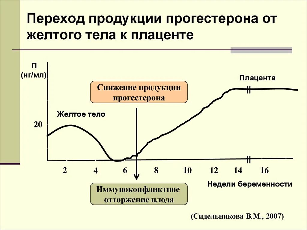 Выработка прогестерона. Желтое тело прогестерон. Прогестерон плаценты.