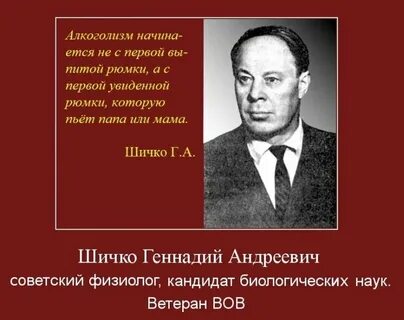 Шичко трезвость