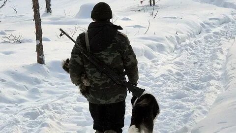 Штраф за отстрел