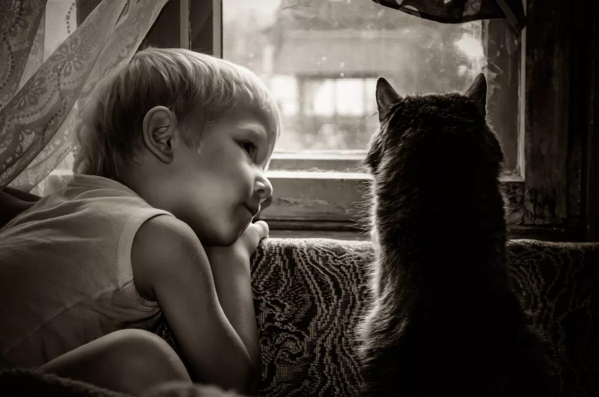 Котёнок-ребёнок. Фотосессия дома ребенок и собака. Дом животные для детей. Маленький пушистый друг. Маленький пушистый друг.