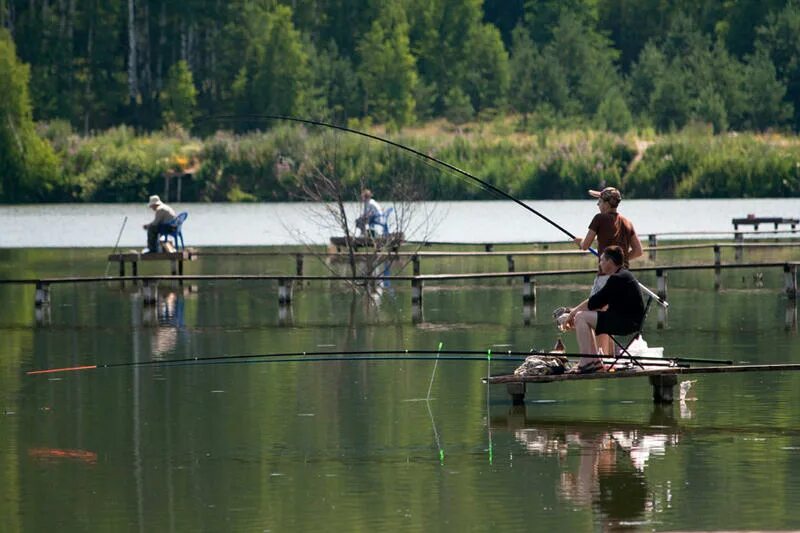 7 озер рыбалка. Рыбалка на озере. Озеро Нижегородская область рыбалка. Платные озера для рыбалки в Нижегородской области. Рыбалка в Дальнеконстантиновском районе.