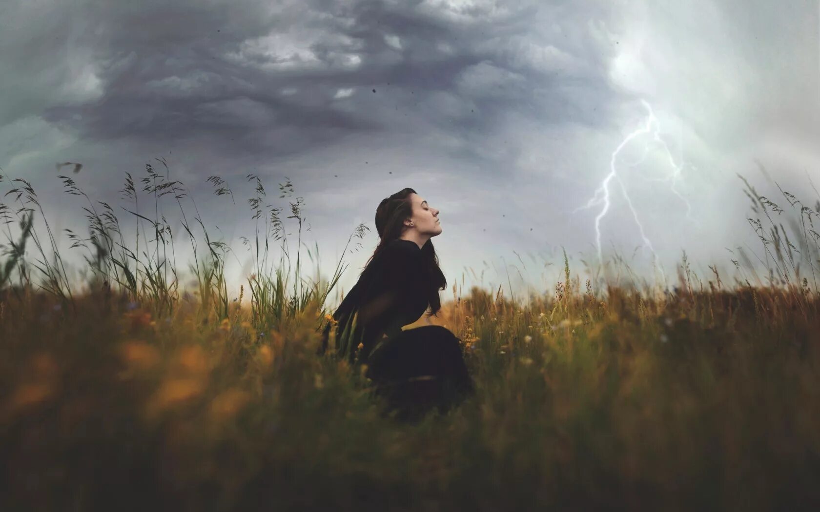 В лугах печально кричали. Одиночество природа. В лугах печально кричали. В лугах печально кричали. Фотограф игорь баласанов.