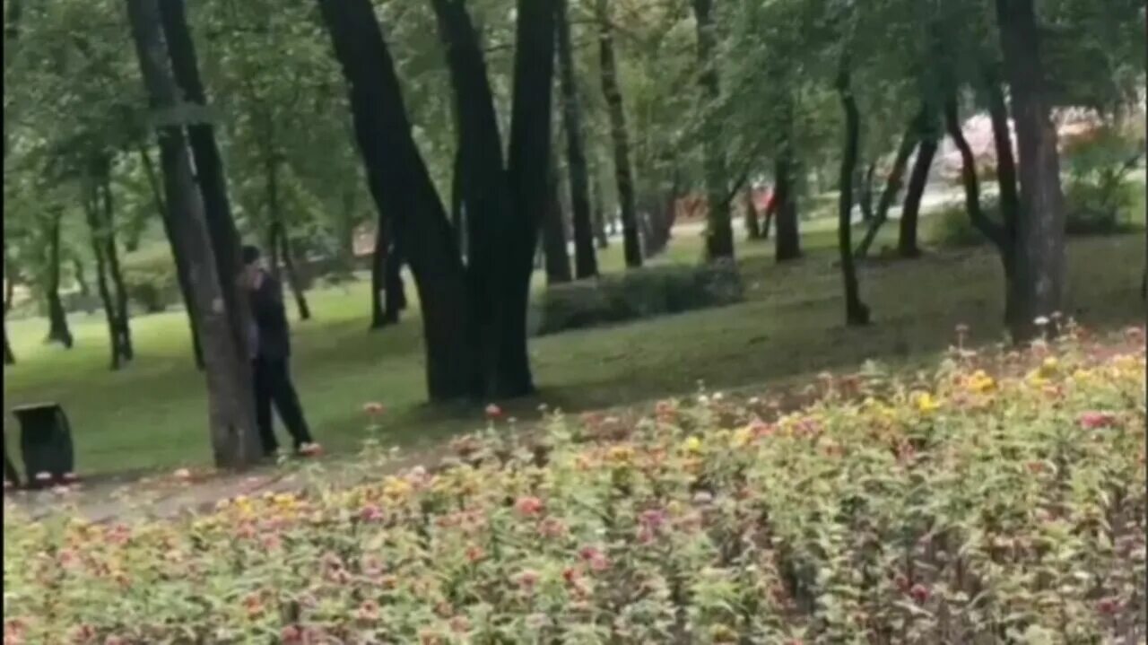 Подсматривающие онанисты. Русский ананист в парке. в парке в парке. баба парк. онанисты в парке в таганроге.