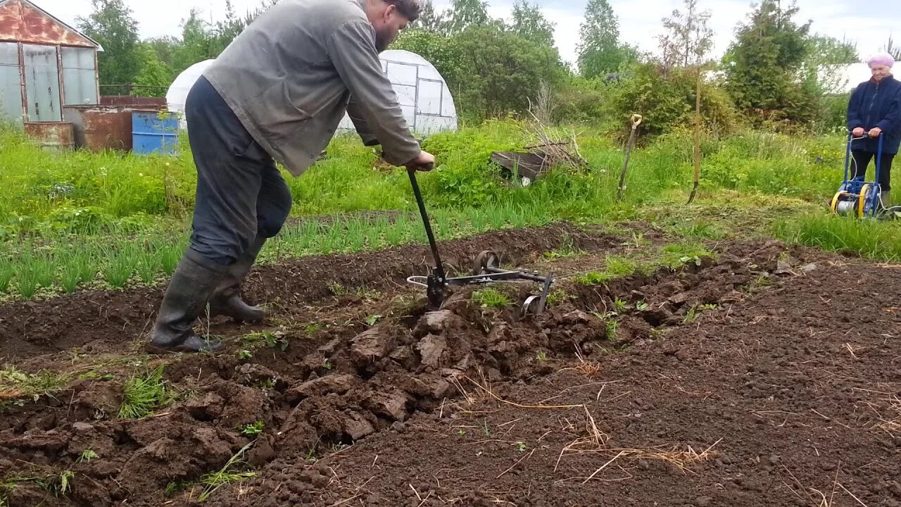 Электролебедка плуг 220 вольт. Плуг бумеранг. Плуг для мотолебедки бычок мл-1м. Посадка картошки лебедкой. Плуг сабан.