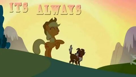 Show pony