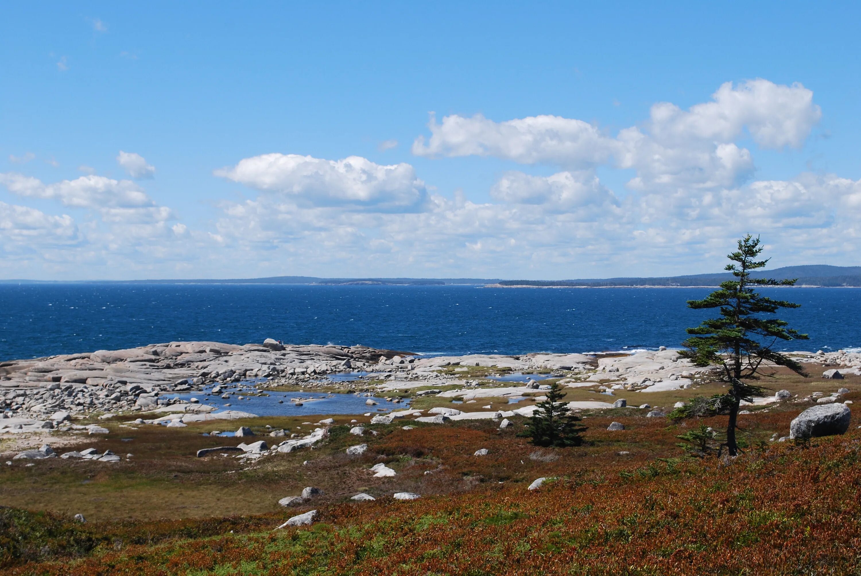 Береговая линия канады. Nova Scotia Canada. Новая Шотландия. Береговая линия Канады фото.