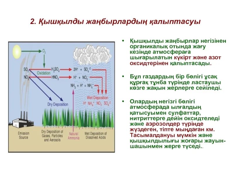 Азот алу. Азот қышқылы презентация. Күкірт оксидтері презентация. Азот кышкылы презентация. Күкірт қандай в.