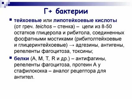 Г и г бактерии