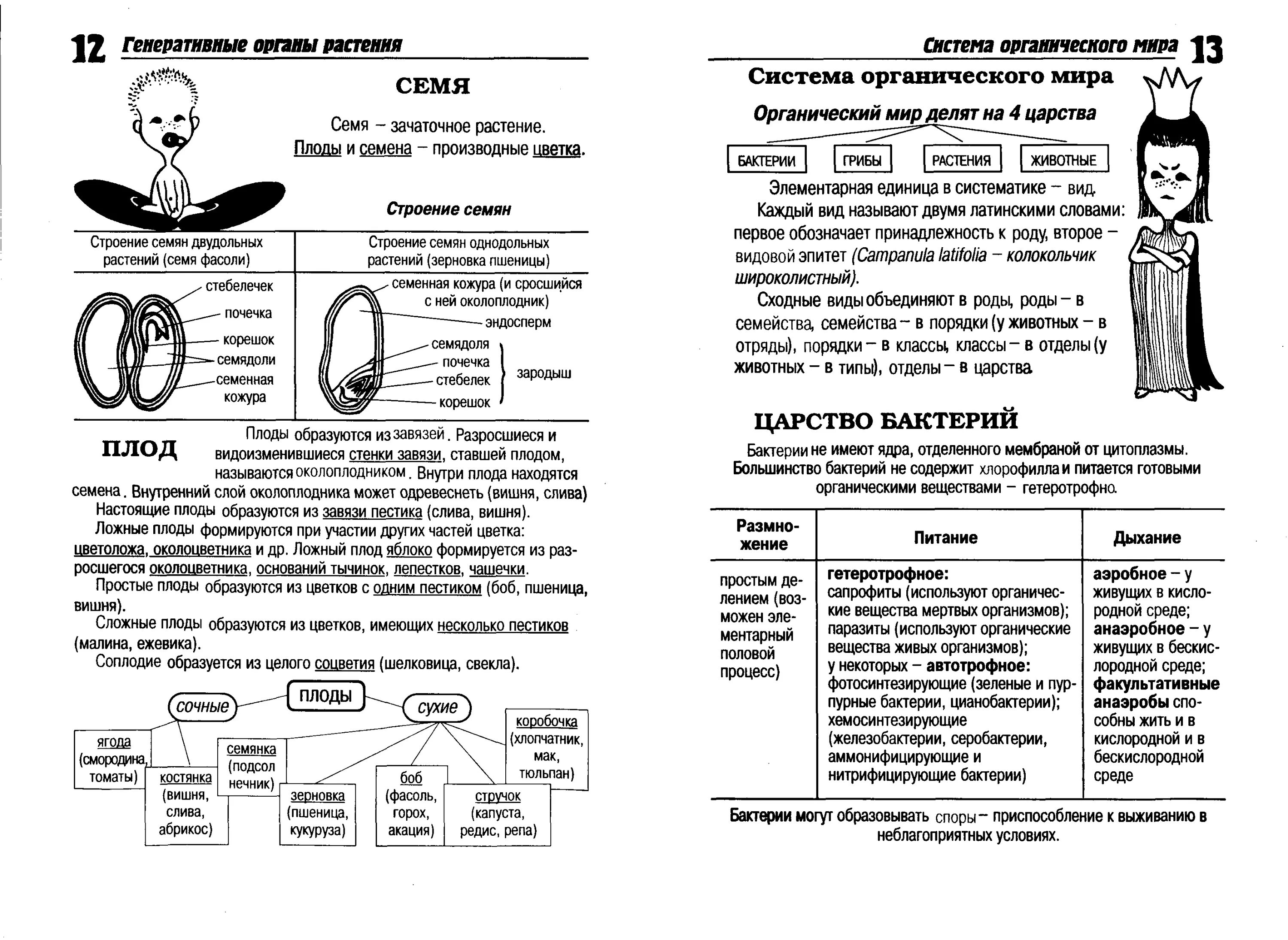 Биология в таблицах и схемах Акимов. Ботаника в таблицах и схемах ЕГЭ. Шпаргалки по биологии ботаника. Схемы и таблицы по биологии. Заболевания огэ биология