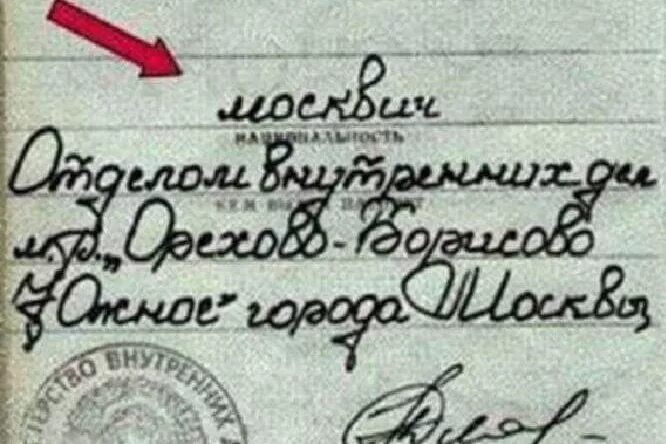 Пятой графы