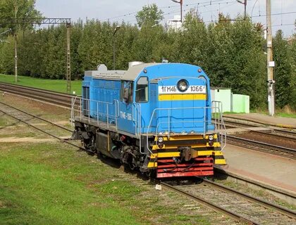 Тепловоз тгм 4
