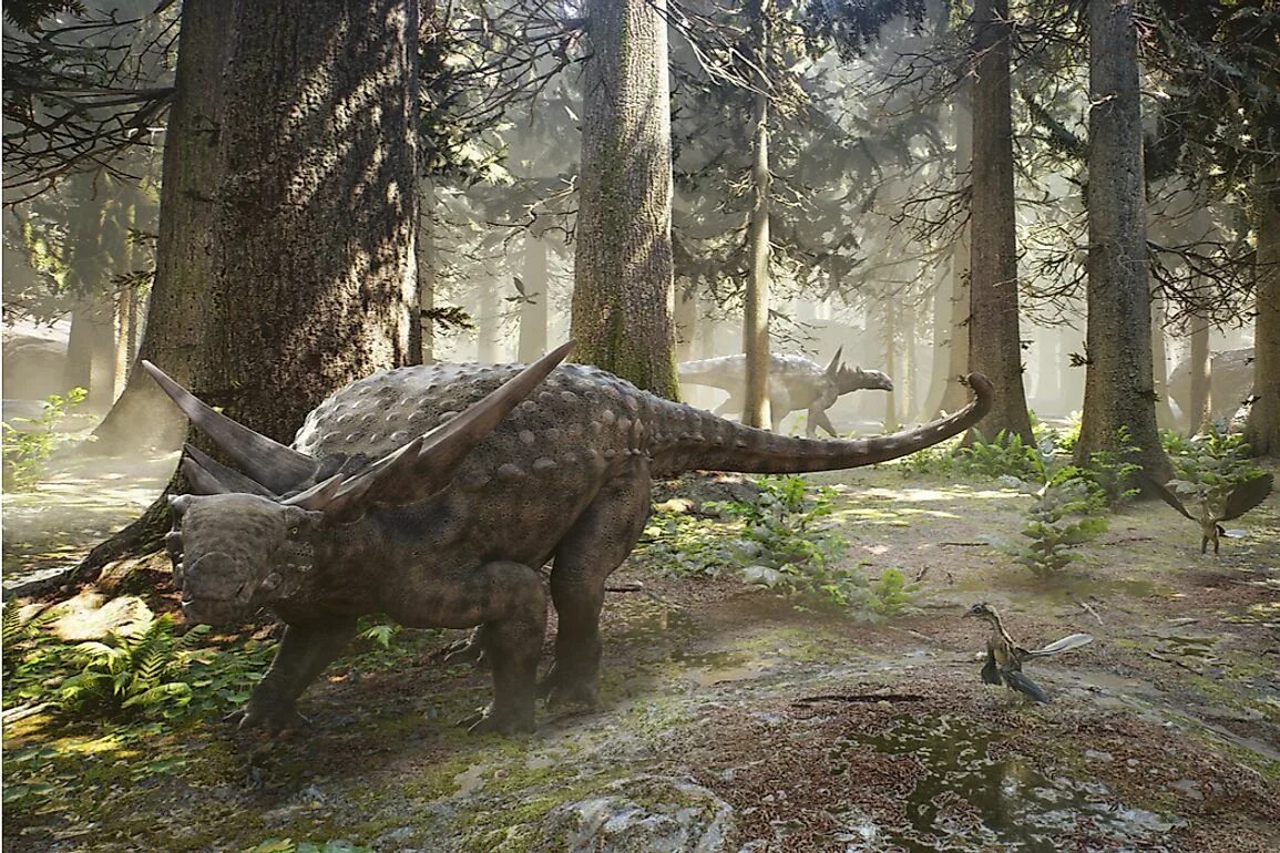 Динозавр 6. Borealopelta markmitchelli. нодозавр динозавр. мумия анкилозавра. динозавр с броней.
