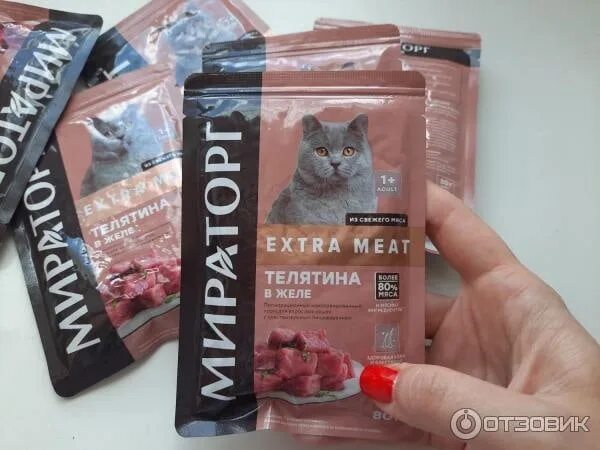 Мираторг корм для котят. Корм для кошек мираторг extra meat. виннер корм для кошек влажный. мираторг виннер для котят паучи. мираторг корм для кошек влажный.