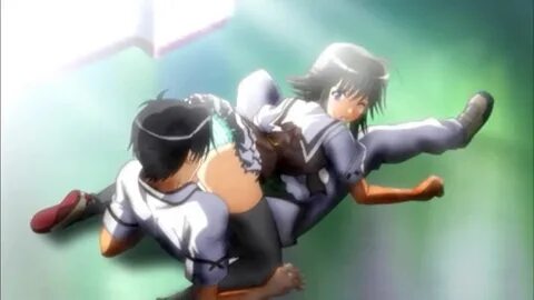 "animer 69 animal" search results 