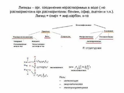 Комплексные соединения липидов и белков